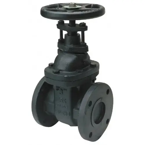 Gate Valve: OS & Y, 5" Pipe, Flanged, Cast Iron