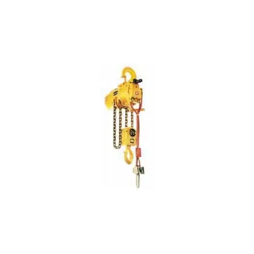 Ingersoll-Rand HL2000K-2C10-C6 4,400 Lb Load Limit, 10 ft Max Height Top Hook Air Hoist