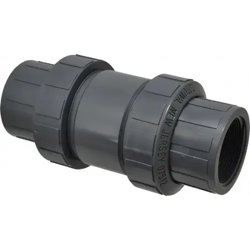 Plast-O-Mat CKS200VT-NC-PV Check Valve: 2" Pipe