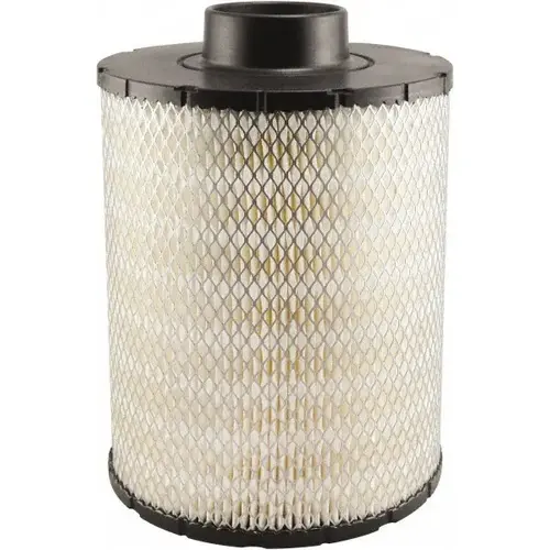 Baldwin Filters PA3868 Automotive Air Filter