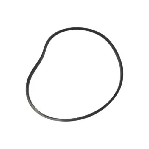 Pentair PacFab Challenger O-Ring Front Housing - Pool - Foto 12