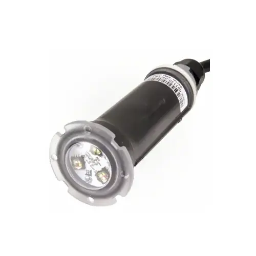 Pentair 602055 Globrite 12V 100 ft LED Light Buy Now