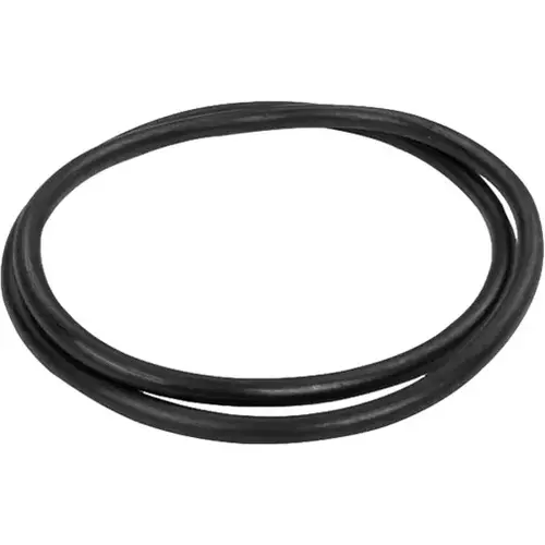 Waterway Plastics 805-0448 Pro-Clean Filter Lid O-Ring