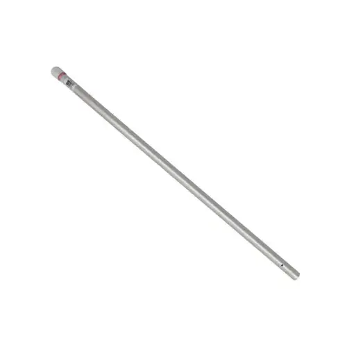 Pentair R191116 16 ft Straight Pole, 1 -Piece w/Pole Cap
