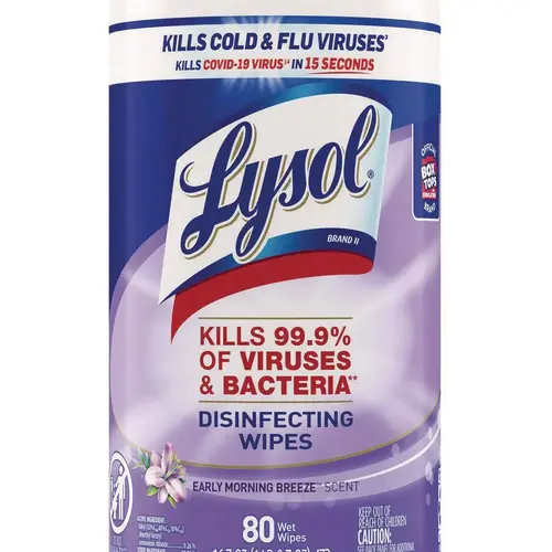 LYSOL RAC89347CT Lysol Brand Disinfecting Wipes, Early Morning Breeze, 80/canister, Carton Of 6