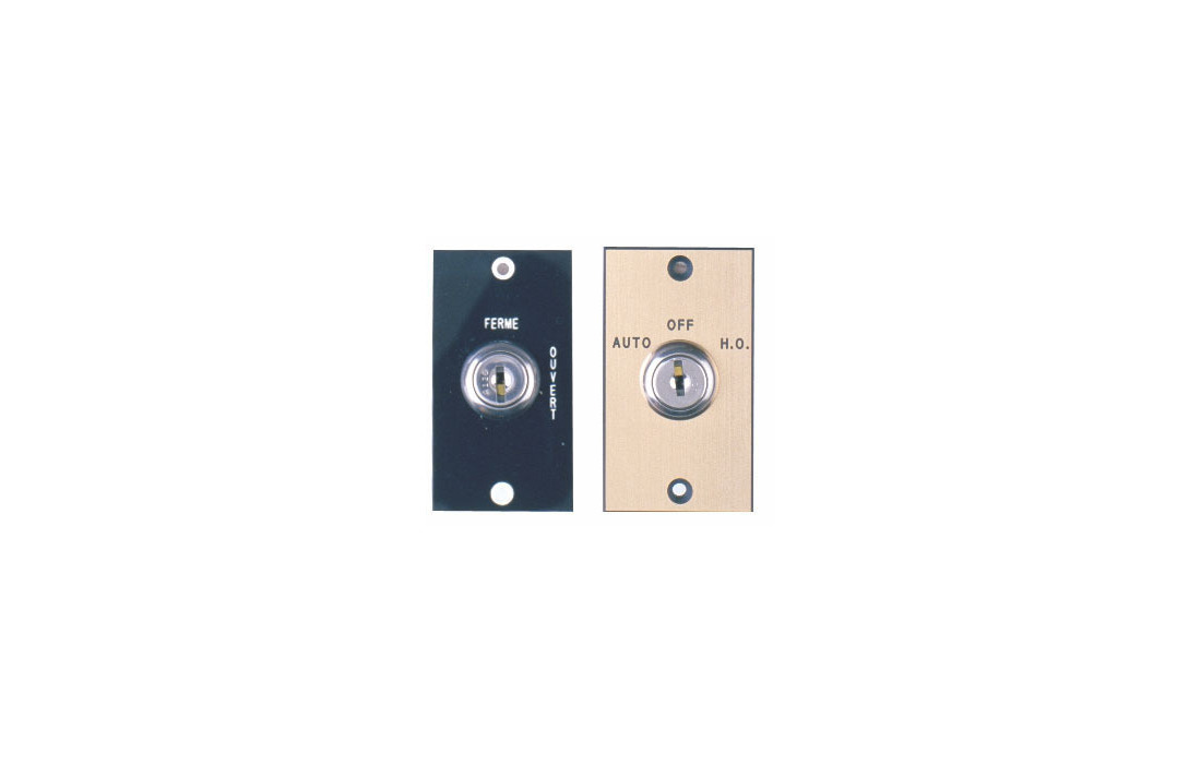 CAMDEN CM-701 BLUE PULL STATION,SPST N//C