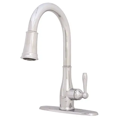 Muir Single-Handle Pull-Down Sprayer Kitchen Faucet in Chrome