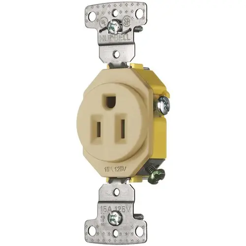 HUBBELL WIRING RR151I 15 Amp 125-Volt Single Self Ground Receptacle, Ivory