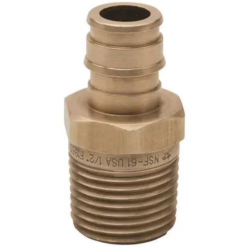 ADAPTER, 1/2 IN. X 3/4 IN. MALE NPT, PEX-A, LEAD FREE