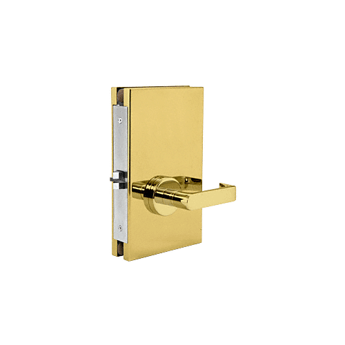 Polished Brass 6" x 10" RHR Center Lock With Deadlatch in Passage Lock Function