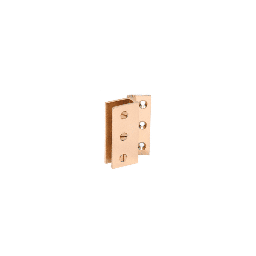Brass Large Wall Mount Set Screw Hinge - pack of 2