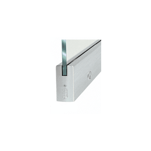 Dry Glazed Frameless Glass 3' BP-Style Brushed Stainless Single Door Only Kit - with Lock