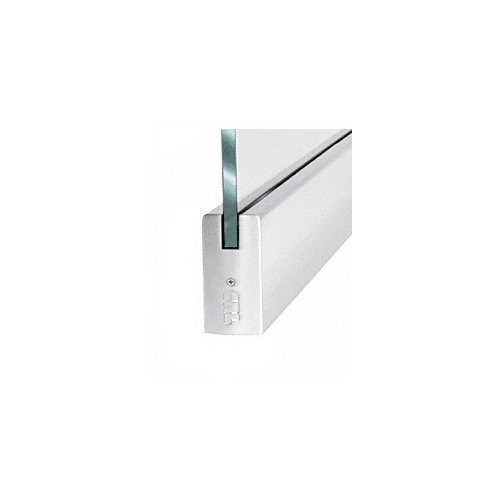 CRL BP4PS12S Dry Glazed Frameless Glass 3' BP-Style Polished Stainless Single Door Only Kit - without Lock