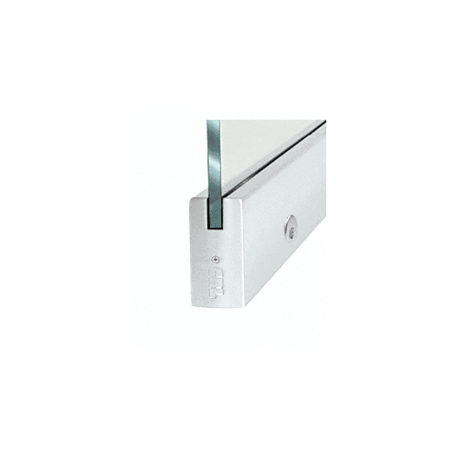 Dry Glazed Frameless Glass 3' BP-Style Satin Anodized Single Door Only Kit - with Lock