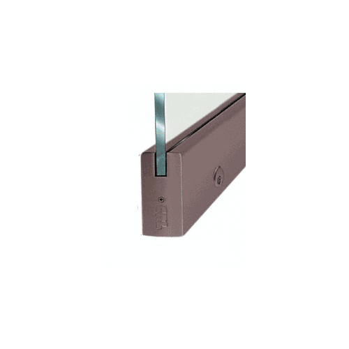 Black Bronze Dry Glazed Frameless Glass 3'-0" P-Style Single Door Complete Entrance Kit - with Lock
