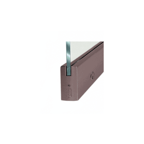Black Bronze Dry Glazed Frameless Glass 3'-0" P-Style Single Door Only Kit - with Lock