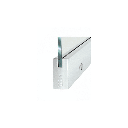 Dry Glazed Frameless Glass 3'-0" P-Style Satin Anodized Single Door Only Kit - with Lock