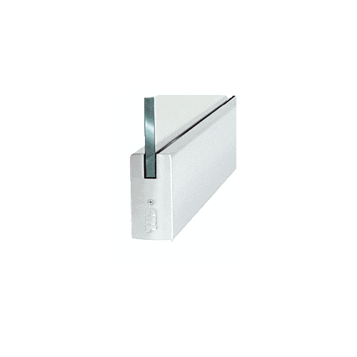 Dry Glazed Frameless Glass 6'-0" P-Style Satin Anodized Double Door Complete Entrance Kit - without Lock