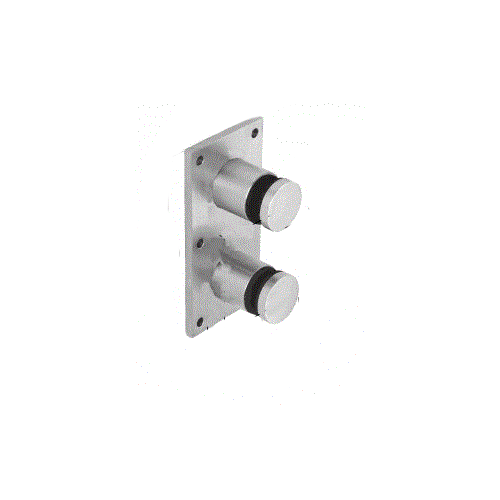 316 Polished Stainless Steel Standard 2" Glass Rail Standoff Fitting with Mounting Plate