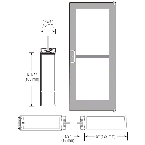 Clear Anodized 550 Series Wide Stile Active Leaf of Pair 3'0 x 7'0 Offset Hung with Pivots for Surf Mount Closer Complete Panic Door for 1" Glass with Standard Panic and Bottom Rail