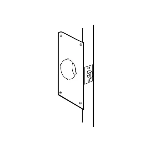 9" x 4" Scar Plate with 2-3/8" Backset Bright Brass Finish