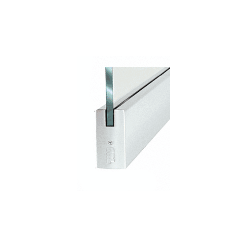 Dry Glazed Frameless Glass 3'-0" P-Style Satin Anodized Single Door Complete Entrance Kit - without Lock