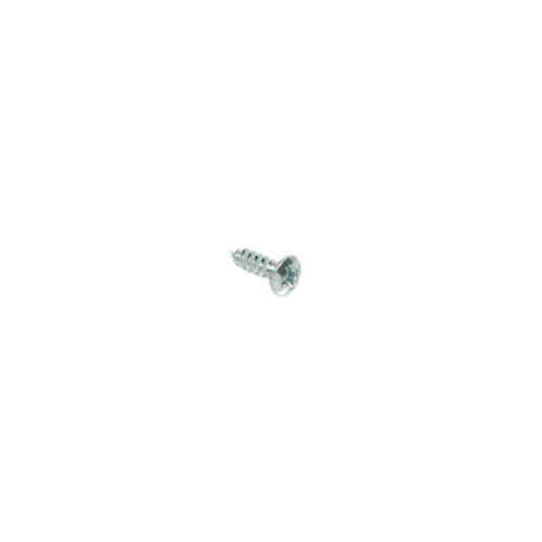 Chrome 10 x 3/4" Oval Head Phillips Tapping Sheet Metal Screws