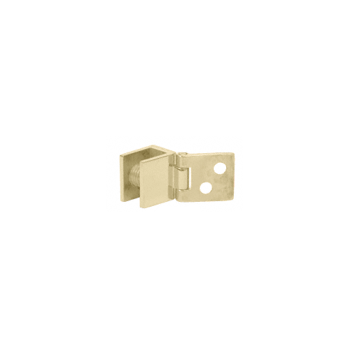 Brass Small Wall Mount Hinges