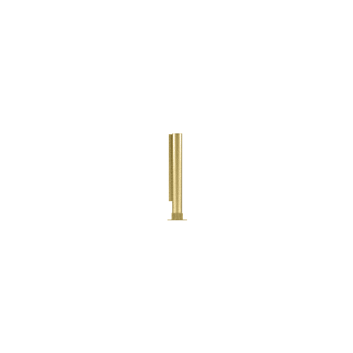 Polished Brass 12" Round PP01 Elegant Series Counter/Partition End Post With Air Space