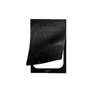 Replacement Magnetic U-Frame and Rubber Flap for the MD400 Medium Pet Door