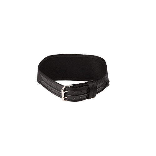 Small Weight Belt Back Support