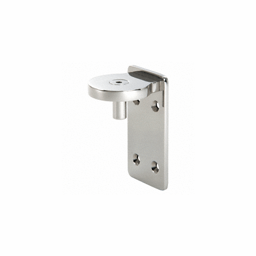 Polished Stainless Steel 1202 Wall Mount Pivot