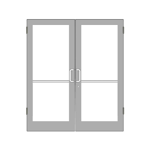 Clear Anodized Custom Size Pair Series 400 Medium Stile Butt Hinged Showroom Doors for Overhead Concealed Door Closers