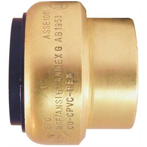 1 in. Brass Push-to-Connect Cap