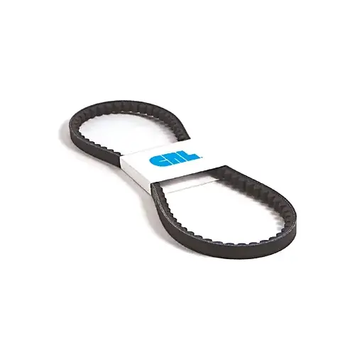 V-Belt, AX31 Cogged