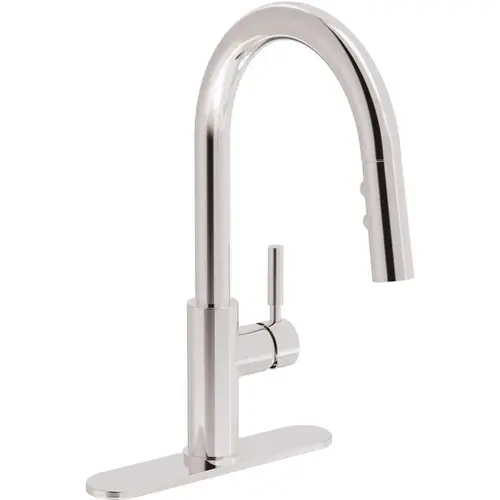 Dia Single-Handle Pull-Down Sprayer Kitchen Faucet with Deck Plate in Polished Chrome