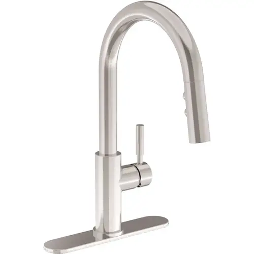 Dia Single-Handle Pull-Down Sprayer Kitchen Faucet with Deck Plate in Stainless Steel