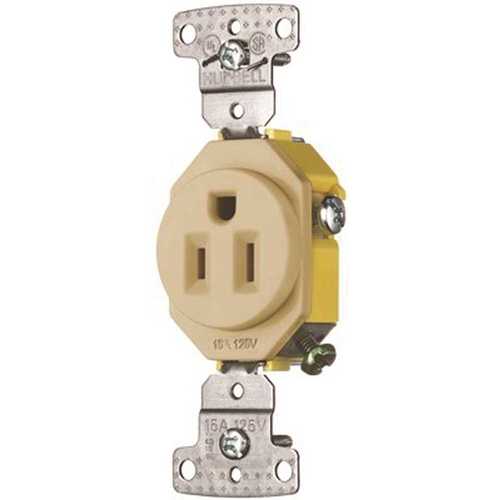 HUBBELL WIRING RR201I 20 Amp 125-Volt Single Self-Ground Receptacle, Ivory