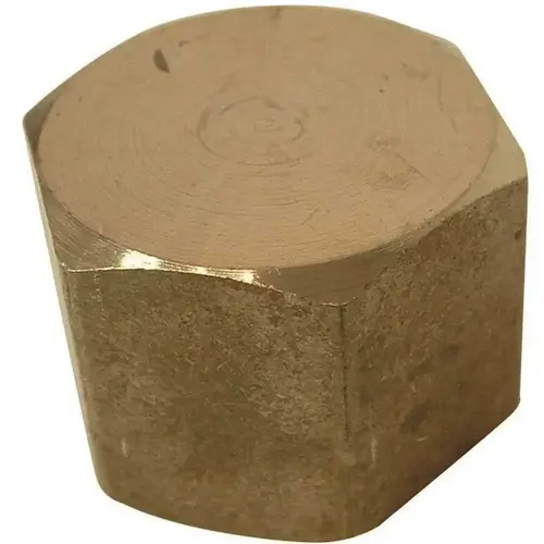 1/8 in. Lead-Free Brass FPT Cap