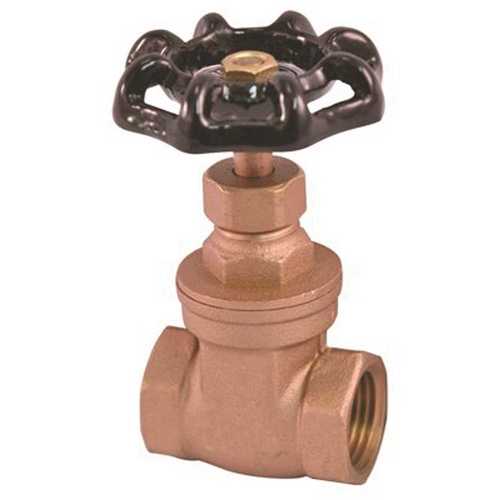 2 in. FIP Gate Valve