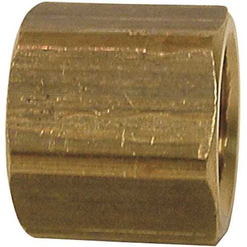 Sioux Chief 930-493001 3/4 in. Lead-Free Brass FPT Cap