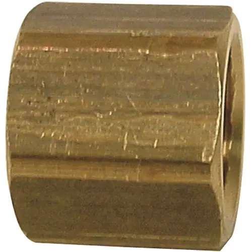 1/4 in. Brass FPT Cap