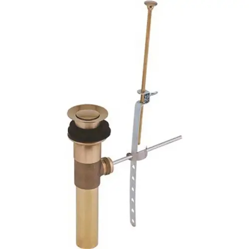 Premier 124005 Pop-Up Assembly in Brass Chrome