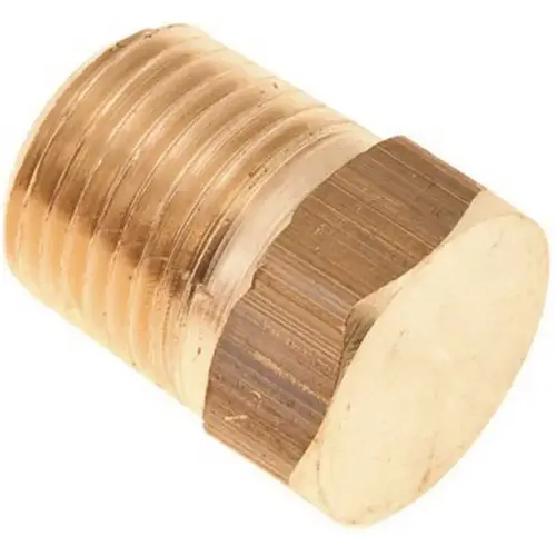 3/8 in. Brass HEX Head Plug