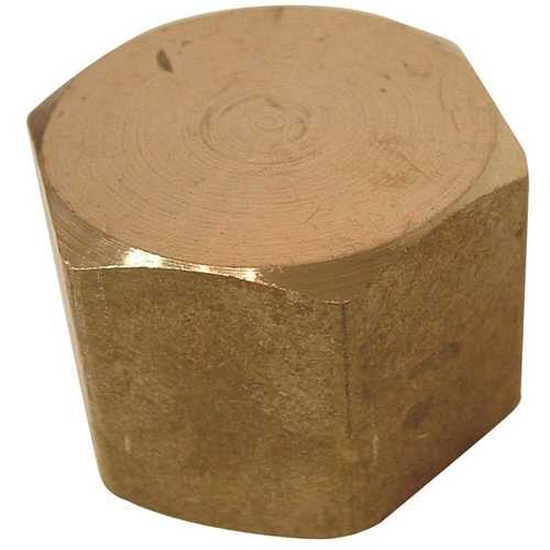 Sioux Chief 930-492001 1/2 in. Brass FPT Cap
