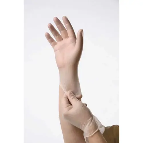 Large Clear Vinyl Disposable Powder-Free Exam Gloves - pack of 100