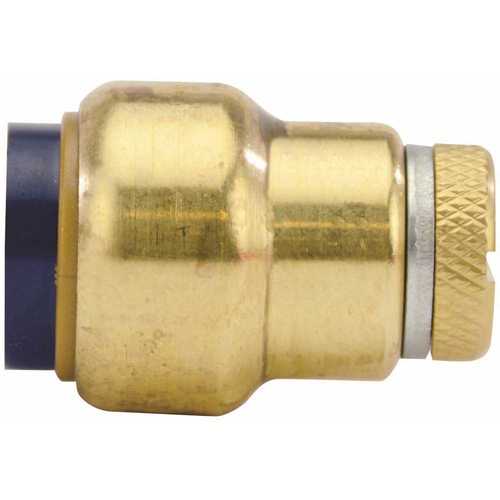 Tectite FSBCAP12WD 1/2 in. Brass Push-To-Connect Cap with Drain