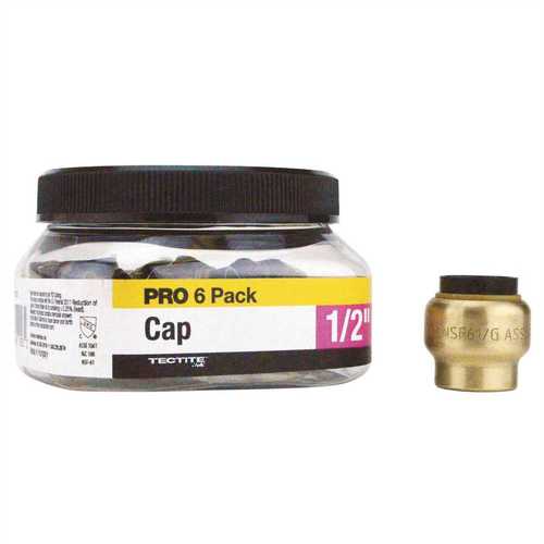 1/2 in. Brass Push-To-Connect Cap Jar - pack of 6