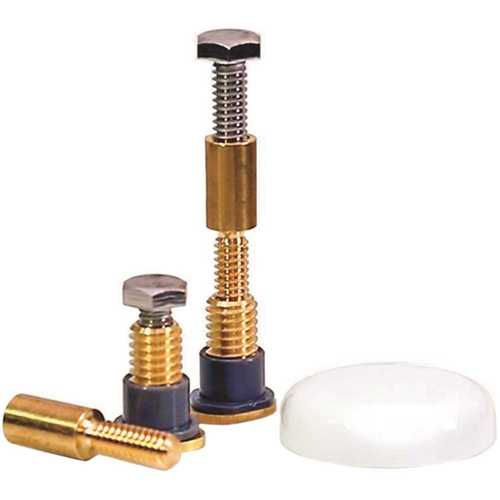 NEXT by Danco 10770X Zero Cut Bolts Toilet Mounting Bolts - Pair Brass