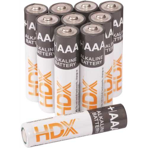 AAA Alkaline Battery - pack of 100